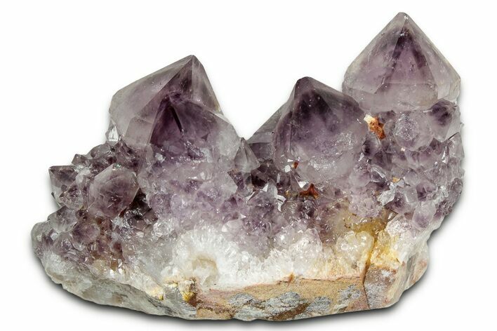 Deep-Purple Cactus Amethyst Crystal Cluster - South Africa #337623